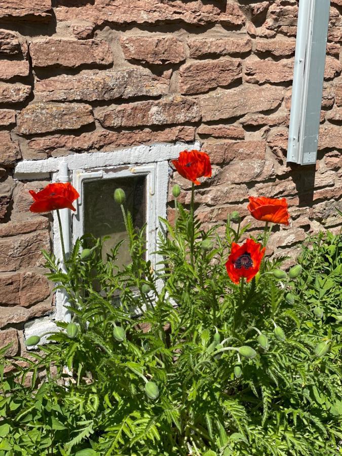 Rosenfors Herrgard B&B Borgholm Exterior foto